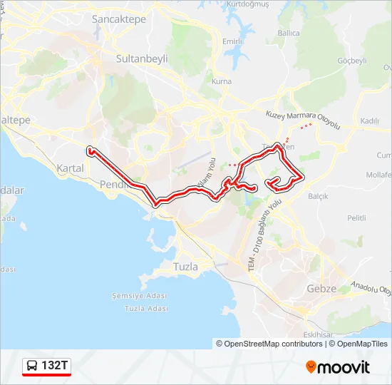 132T Bus Line Map
