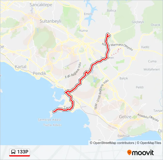 133P Bus Line Map