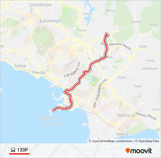 133P Bus Line Map