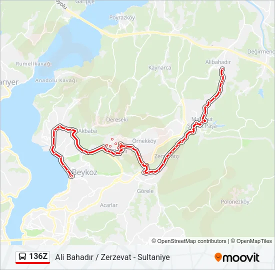 136Z Bus Line Map