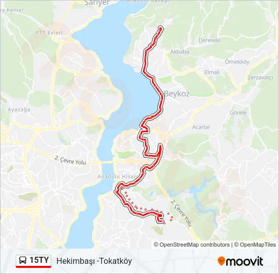15TY Bus Line Map