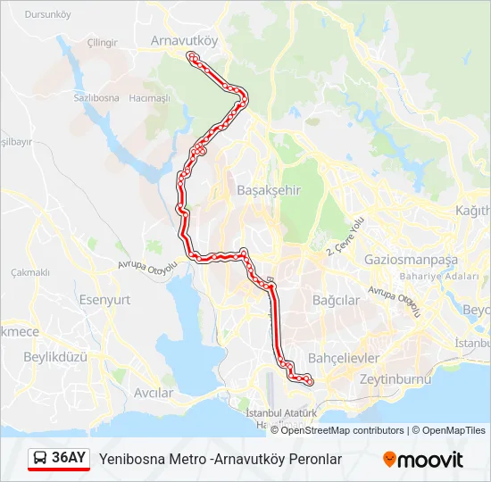 36AY Bus Line Map