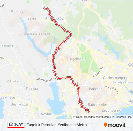 36AY Bus Line Map