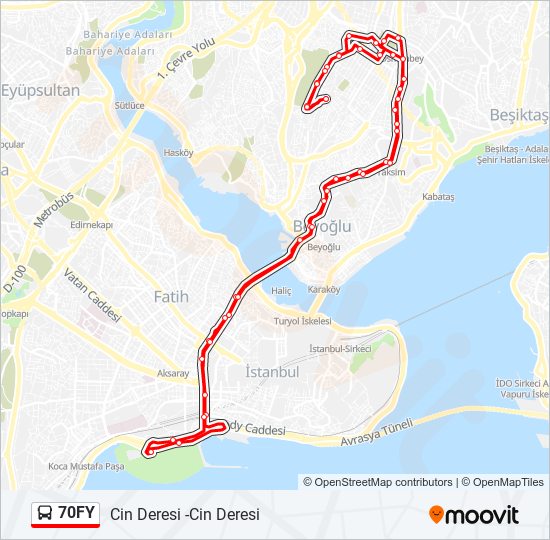 70FY bus Line Map