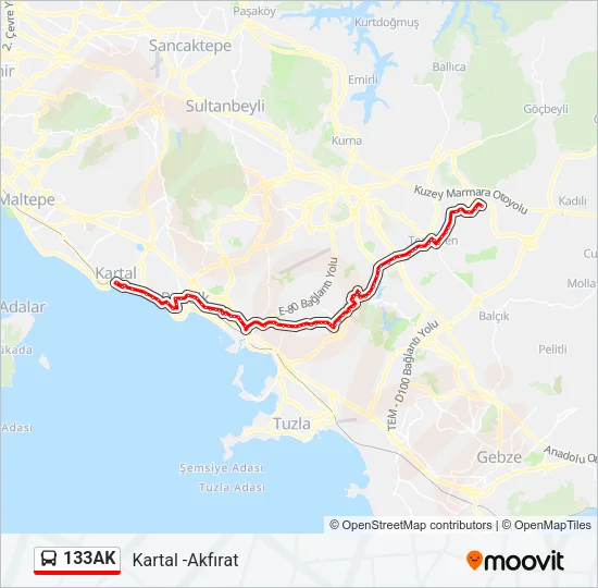 133AK Bus Line Map