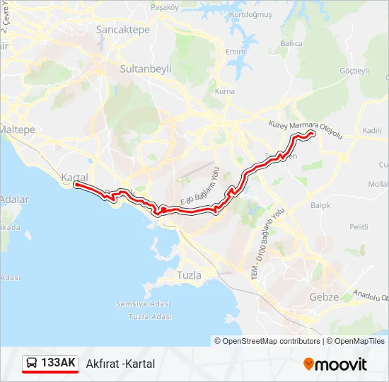 133AK Bus Line Map