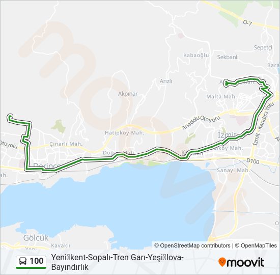 100 bus Line Map