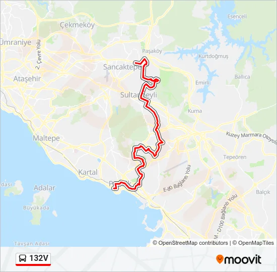 132V Bus Line Map