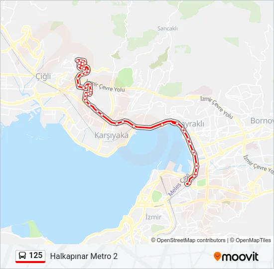 125 Bus Line Map