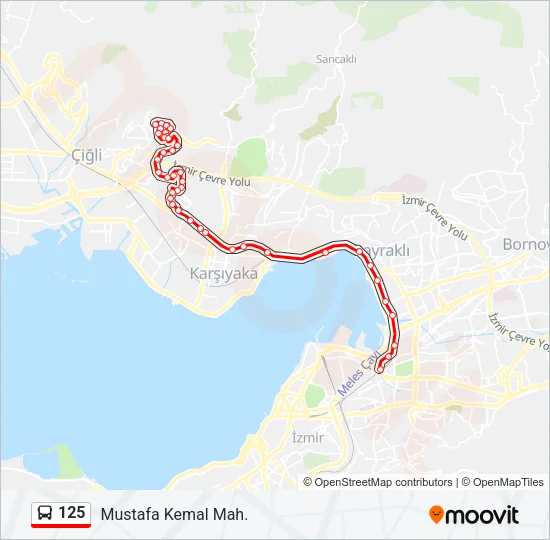 125 Bus Line Map