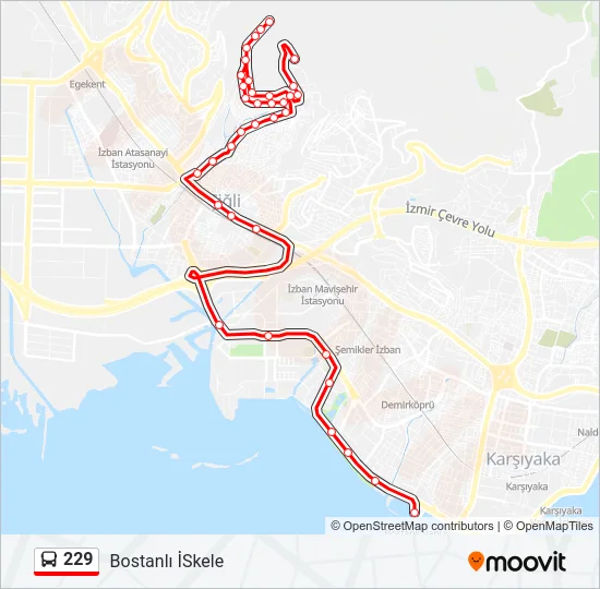 229 Bus Line Map