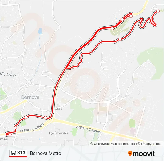 313 Bus Line Map