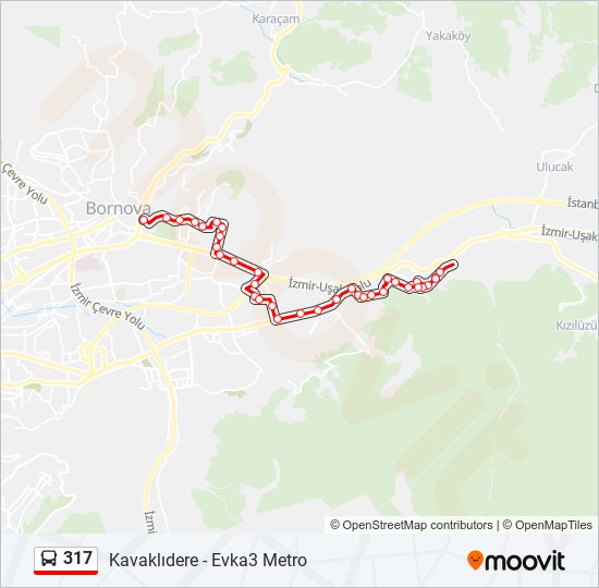 317 bus Line Map