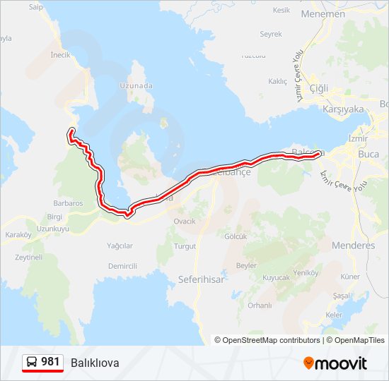 981 otobüs Hattı Haritası