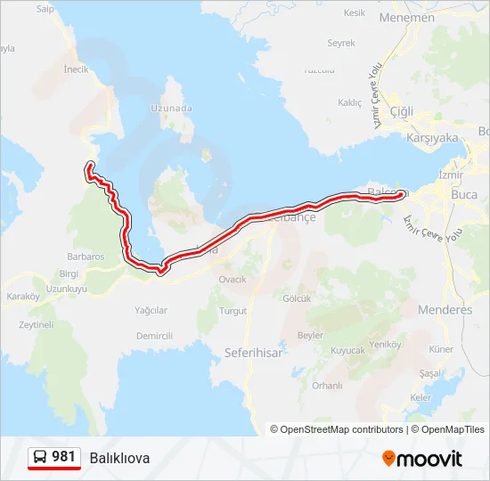 981 Bus Line Map