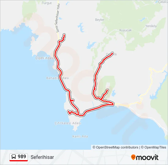 989 Bus Line Map