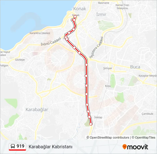 919 Bus Line Map