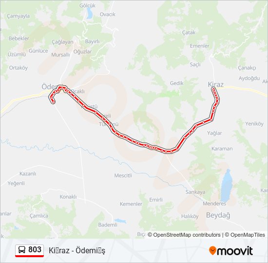 bir erkek neden engeller porselen baskı balata