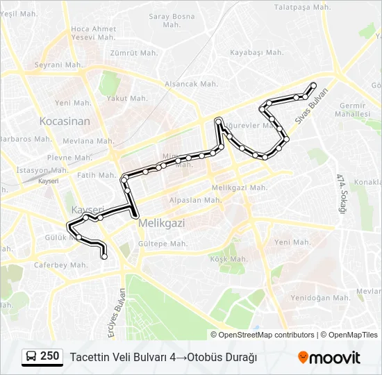 250 Bus Line Map
