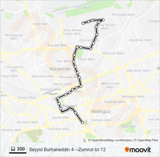 300 Bus Line Map