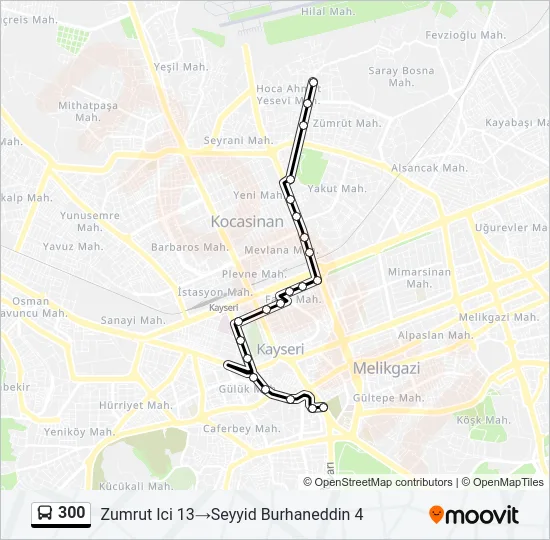 300 Bus Line Map