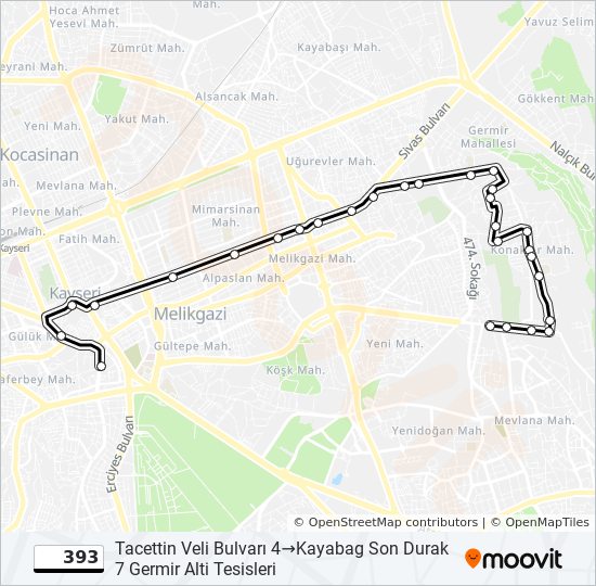 393 bus Line Map