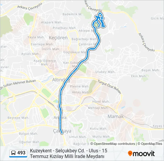 493 Bus Line Map