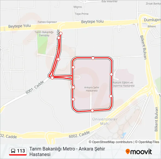 113 Bus Line Map