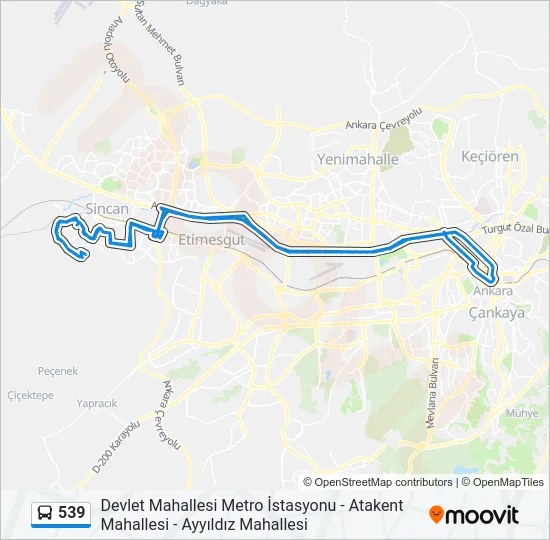 539 Bus Line Map