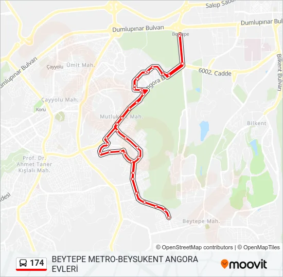 174 Bus Line Map