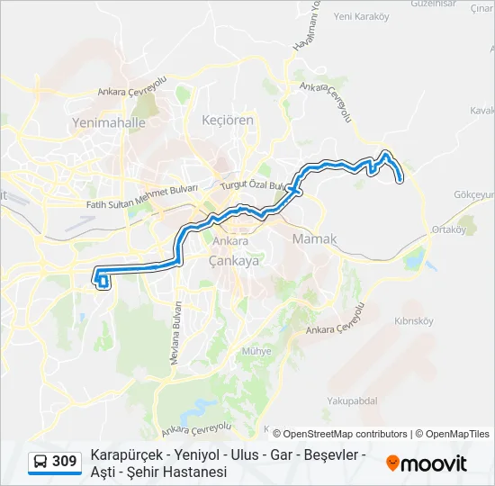 309 Bus Line Map