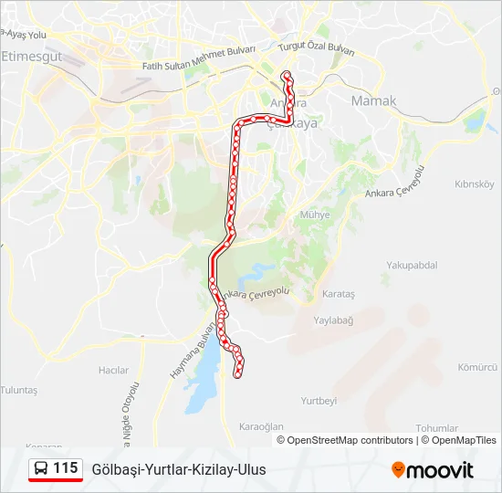 115 Bus Line Map