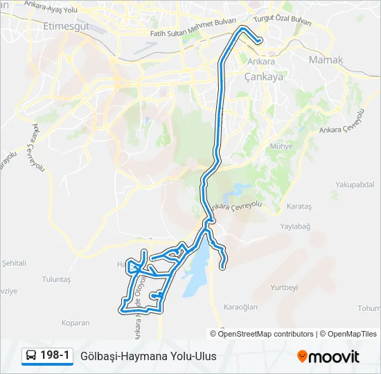 198-1 Bus Line Map