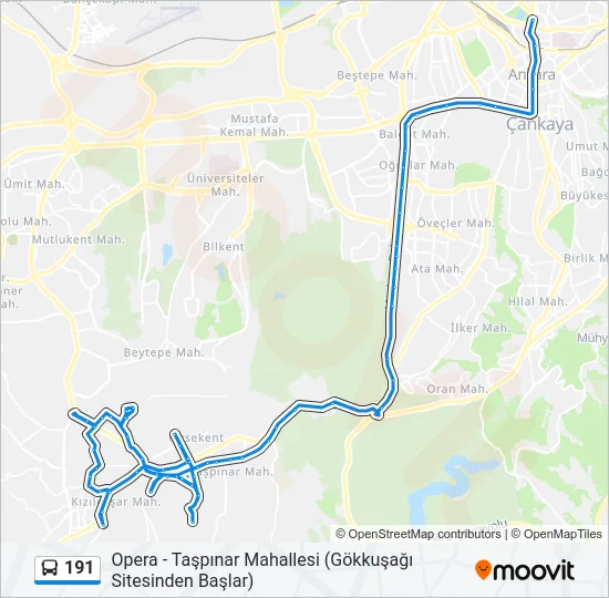 191 Bus Line Map