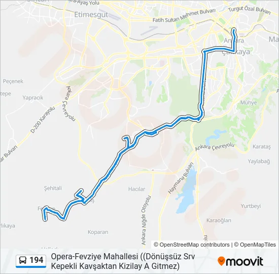 194 Bus Line Map