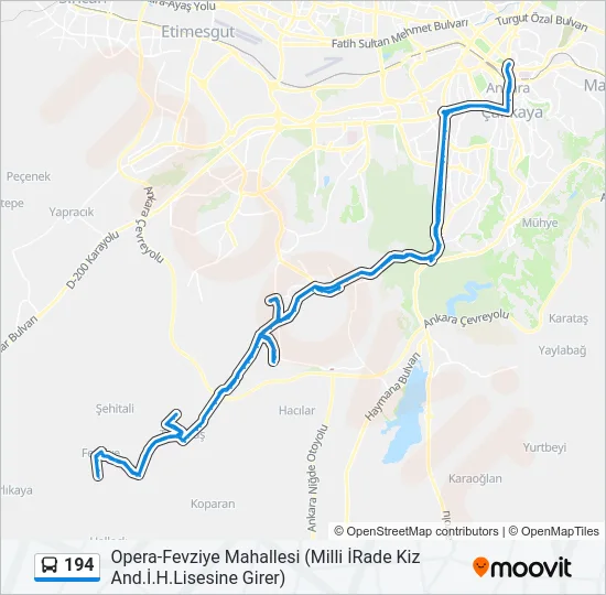 194 Bus Line Map