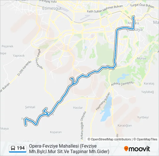 194 Bus Line Map