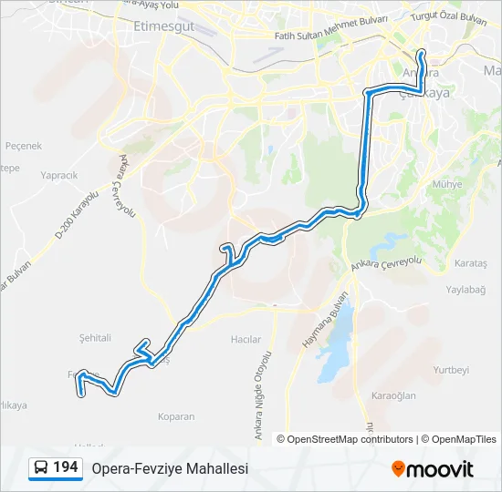 194 Bus Line Map