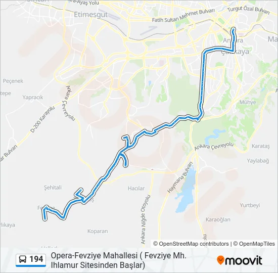 194 Bus Line Map