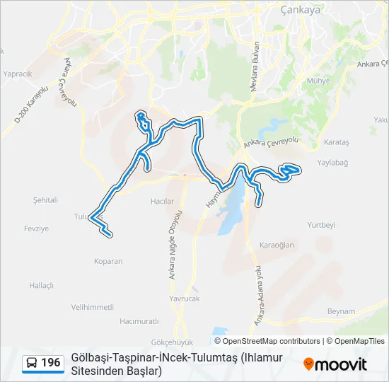 196 Bus Line Map