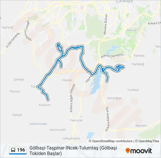196 Bus Line Map