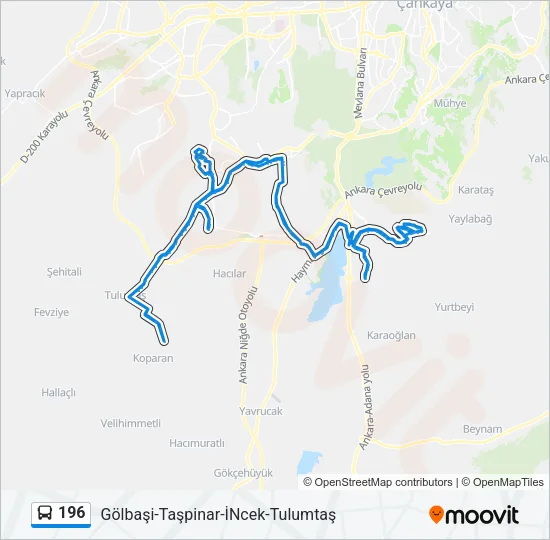 196 Bus Line Map