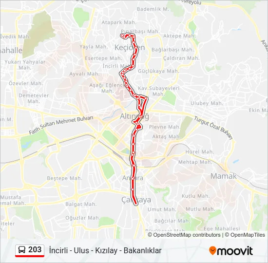 203 Bus Line Map