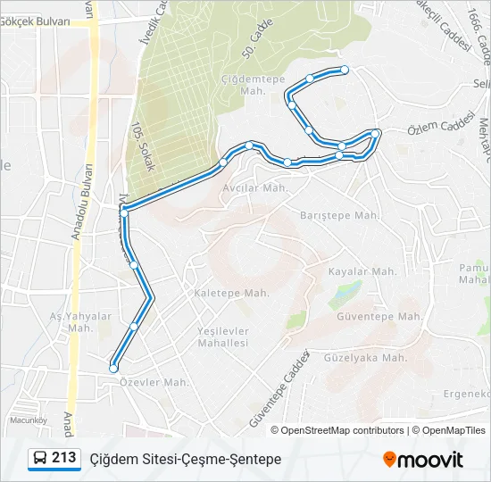 213 Bus Line Map