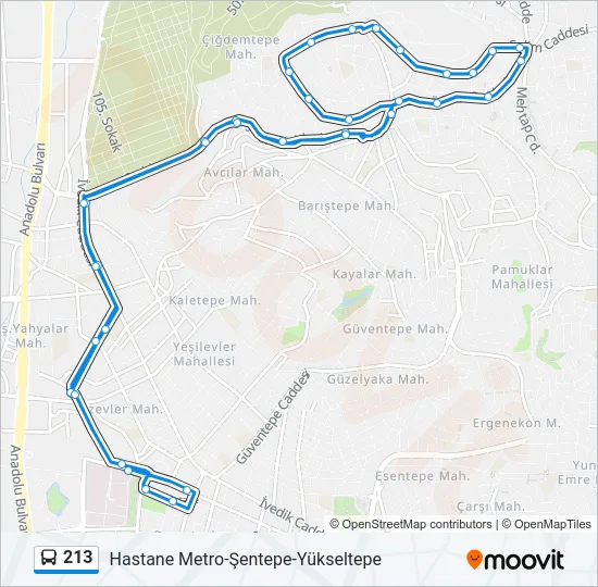 213 Bus Line Map