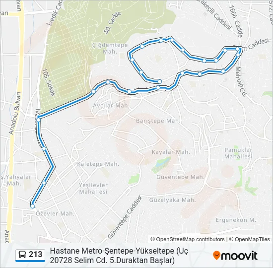 213 Bus Line Map