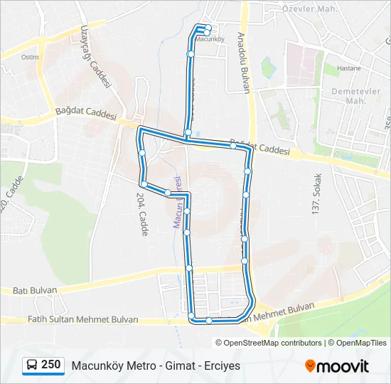 250 Bus Line Map