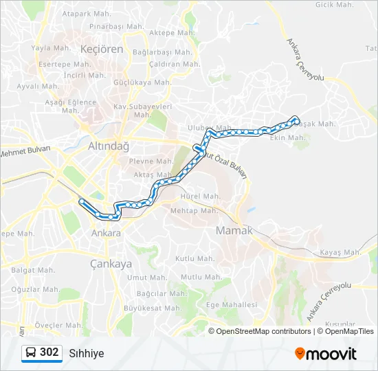 302 otobüs Hattı Haritası