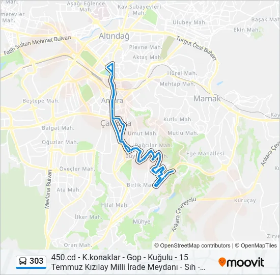 303 Bus Line Map