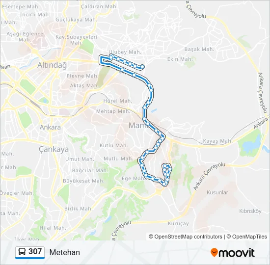 307 Bus Line Map